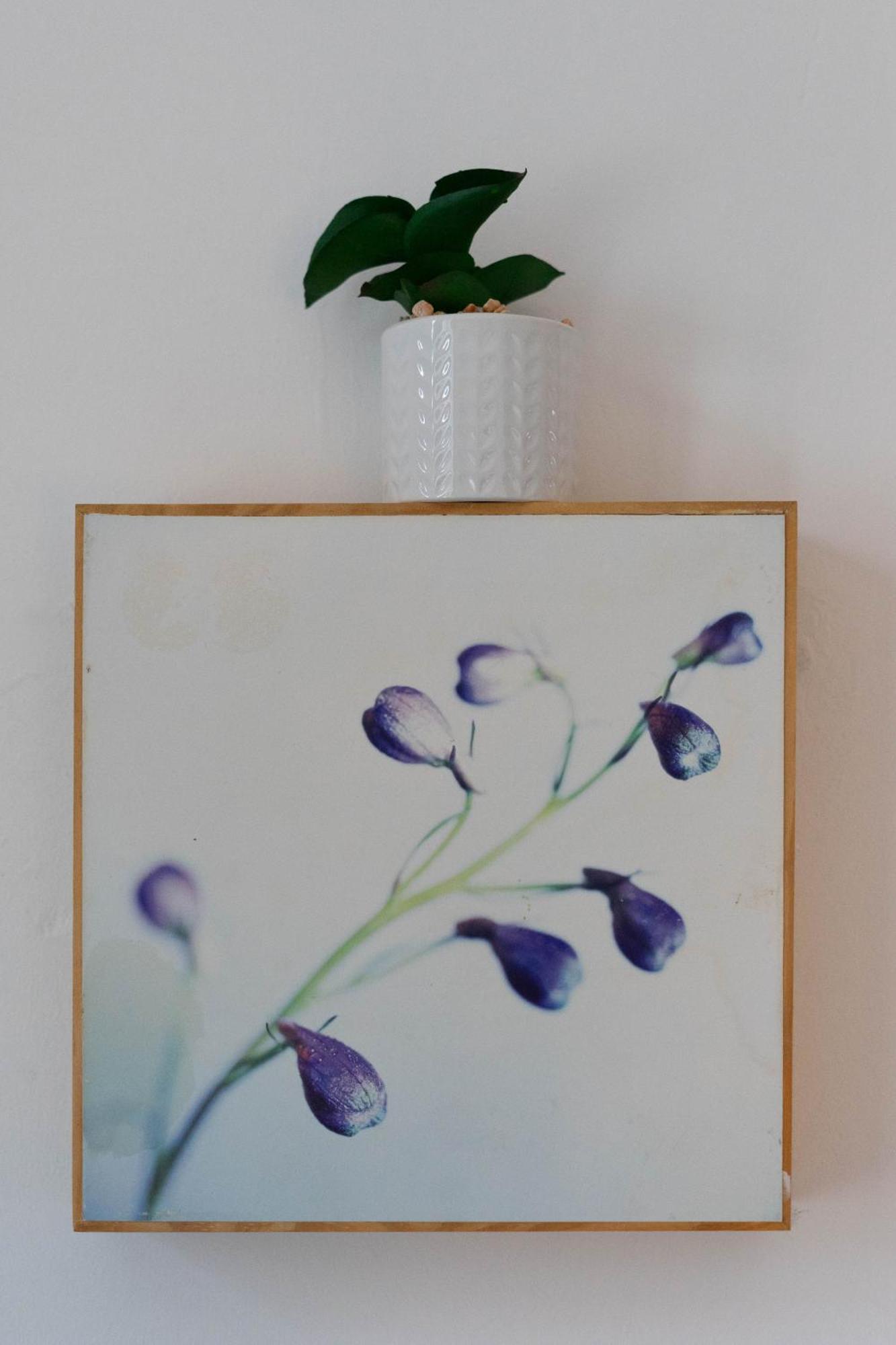 Cosy Leith Escape - Edinburgh City Ngoại thất bức ảnh